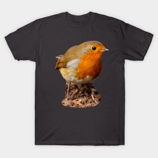 Robin in the garden T-Shirt